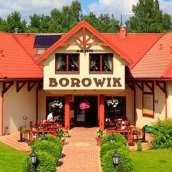 Borowik S.c.