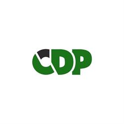 Kancelaria Biegłych Rewidentów CDP