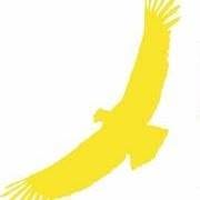 Condor Polska. Sp. Z O.o.