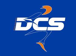 DCS Domestic Courier Service