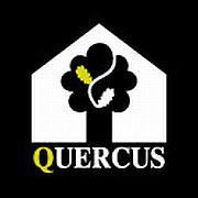 Quercus. Sp.j.