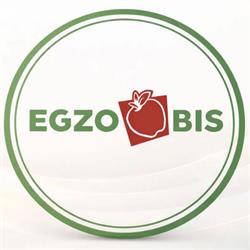 Egzo. S.j.