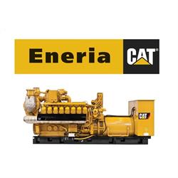 Eneria - Autoryzowany dealer Caterpillar