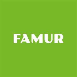 Famur