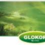 GLOKOR -tło