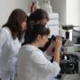 Research and development GLOKOR