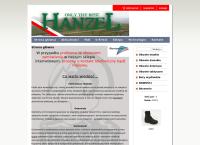 Strona internetowa z Hanzel S.c.