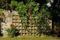 Kratka Beta bez ramy (h183x30) (pergola, ogród, ogrodzenie, Jagram)