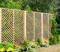 Kratka angielska (h183x30) (pergola, ogród, ogrodzenie, Jagram)