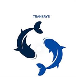 Transryb. Sp.j.