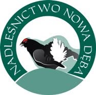 Nadleśnictwo Nowa Dęba