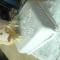 tort2