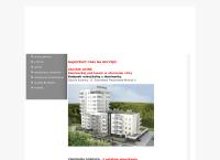 Strona internetowa z Panorama Development