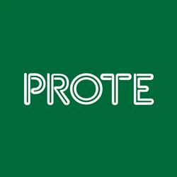 Prote. Technologie Dla Środowiska. Sp. Z O.o.