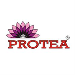 Protea. Sp. Z O.o.