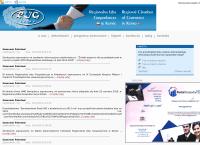 Strona internetowa z Regionalna Izba Gospodarcza
