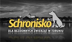 Miejskie Schronisko dla Zwierząt