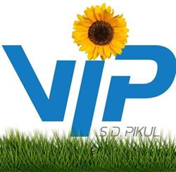VIP Dystrybucja S.D. Pikul Spółka Jawna - Hurtownia Chemii i Akcesoriów Samochodowych