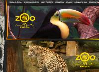 MIEJSKI OGRÓD ZOOLOGICZNY W PŁOCKU Sp. z o.o.