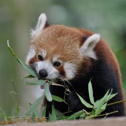 Ogród Zoobotaniczny