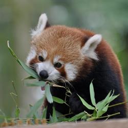 Ogród Zoobotaniczny