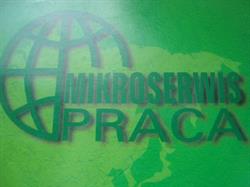 Au Pair Mikroserwis