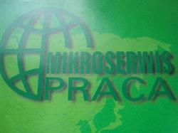 Au Pair Mikroserwis