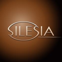 Silesia-Rybnik