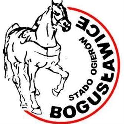 Stado Ogierów W Bogusławicach. Sp. Z O.o.