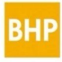 Bhp Professional. Dynaryński Ł.