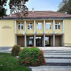 Wielkopolanin. Kino