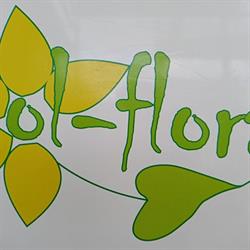 Ol-Flora. Import i hurtowa sprzedaż kwiatów ciętych