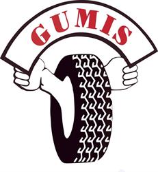 Gumis Wulkanizacja, Mechanika
