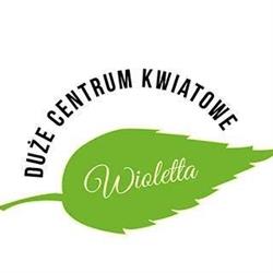 "wioletta" Duże Centrum Kwiatowe. J. Maślińska