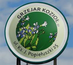 Grzejar