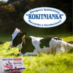Rokitnianka. Okręgowa Spółdzielnia Mleczarska
