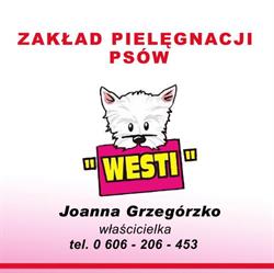 Westi. Zakład Pielęgnacji Psów