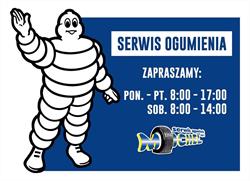 Michel Serwis Ogumienia
