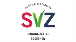 Svz Poland. Sp. Z O.o.