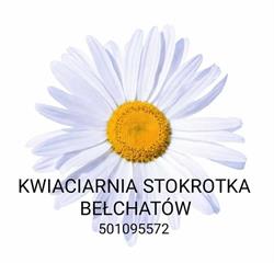 Stokrotka. Kwiaciarnia. Kabat L. Bełchatów