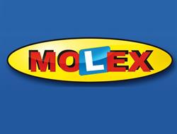 Molex. Szkoła Kierowców