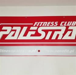 Aerofit-Palestra. Fitness Club, Szkolenia Instruktorów