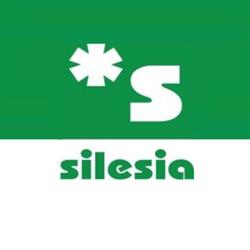 Silesia Sklad budowlany Stacja paliw Myjnia