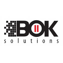 Bok 11 Solutions. Kaczmarek W.