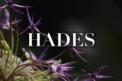 Hades. Zakład Usług Pogrzebowych