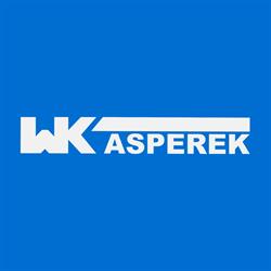 Kasperek W. Stacja kontroli pojazdów. Ustawianie geometrii kół