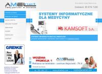 Amelnet. Usługi informatyczne. Drywulski D.