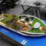 Model Island (e)motion Concept