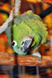 "małe Zoo" Sklep Zoologiczny