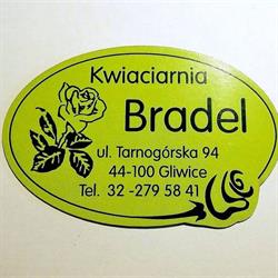 Bradel Barbara. Kwiaciarnia